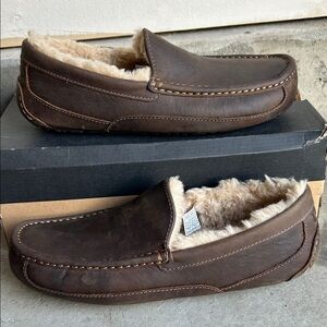 Mens Ugg Ascot Slippers Shoes Size 11 Brown Nwt
